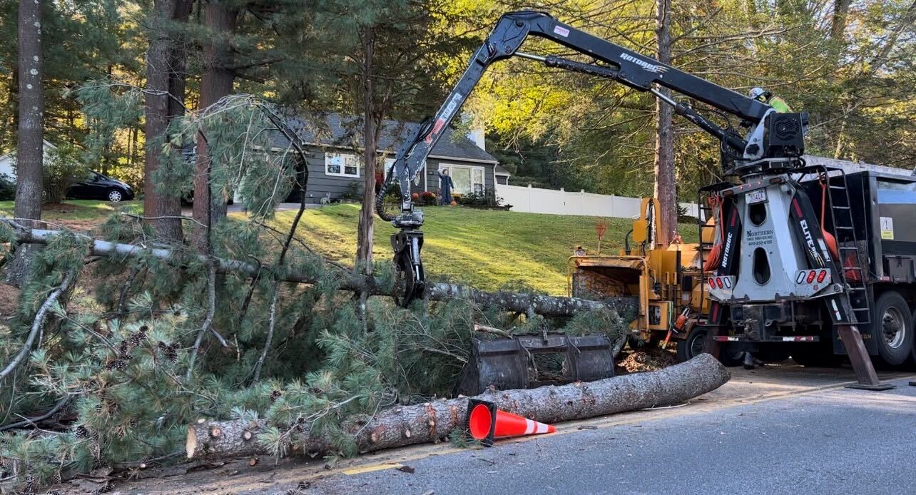 Eversource crews trim and remove dead, diseased, overgrown and dying trees in Easthampton.