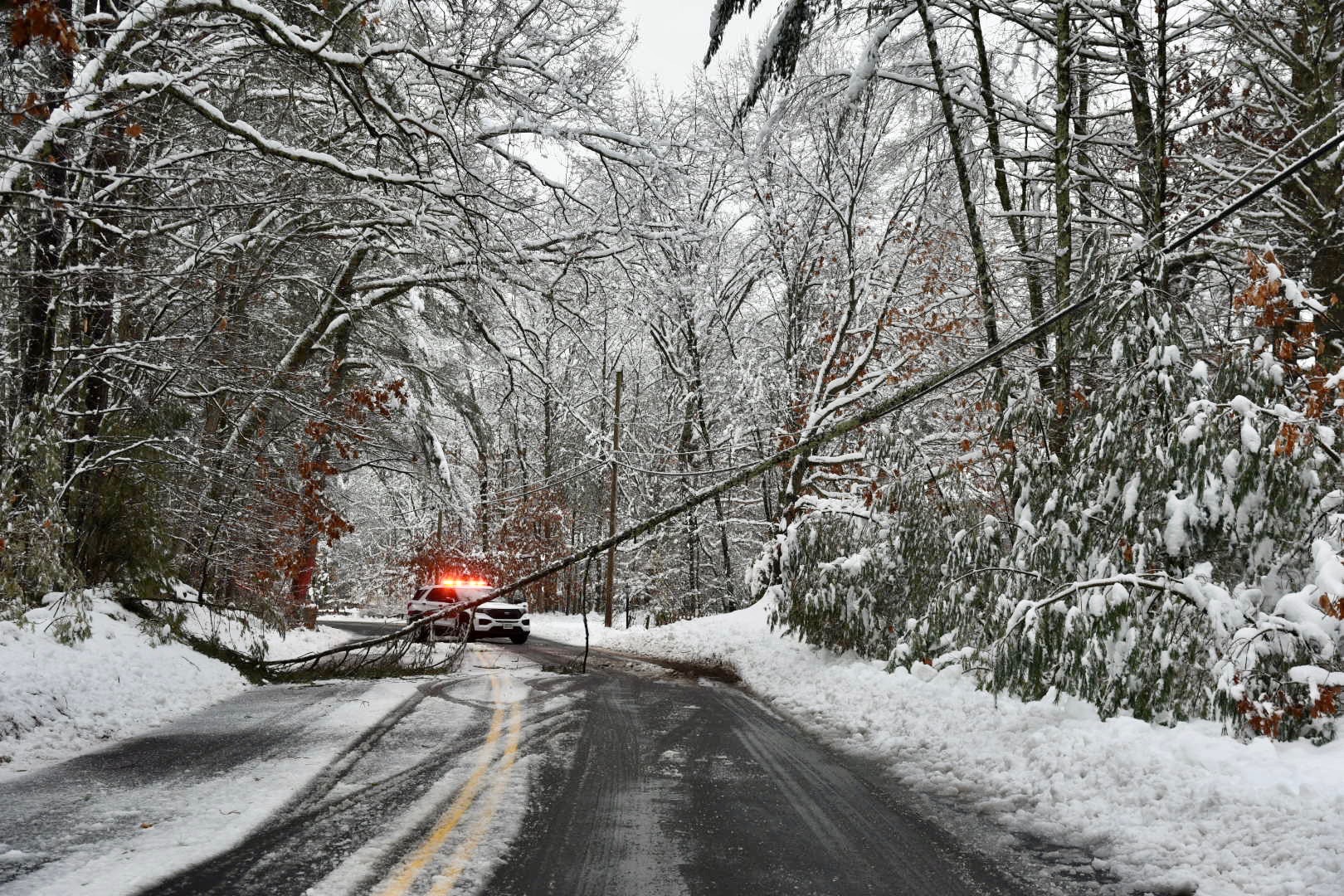 Tree down in Merrimack