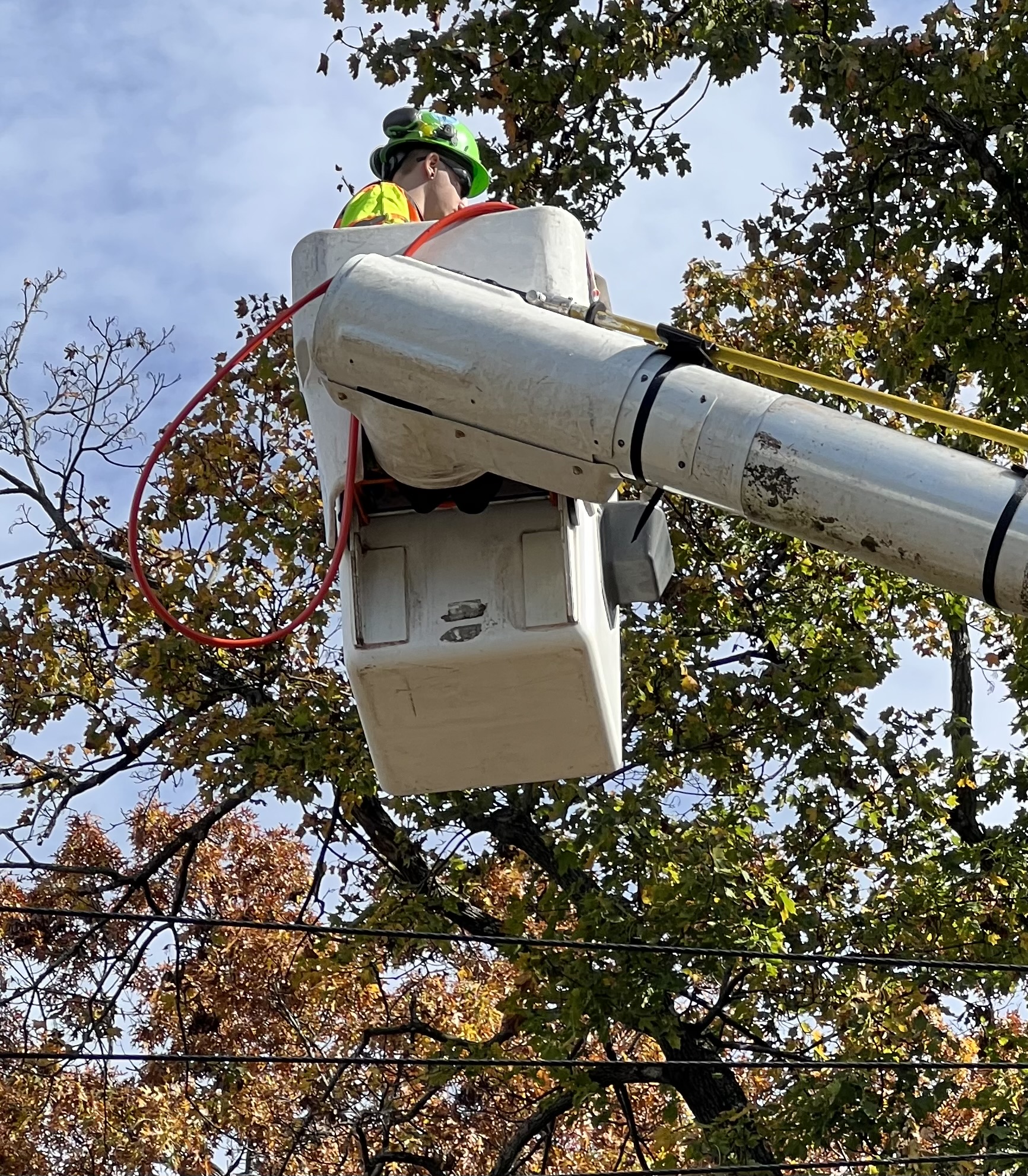 Eversource tree crews working to protect electric system and improve public safety on Morton Street in West Springfield