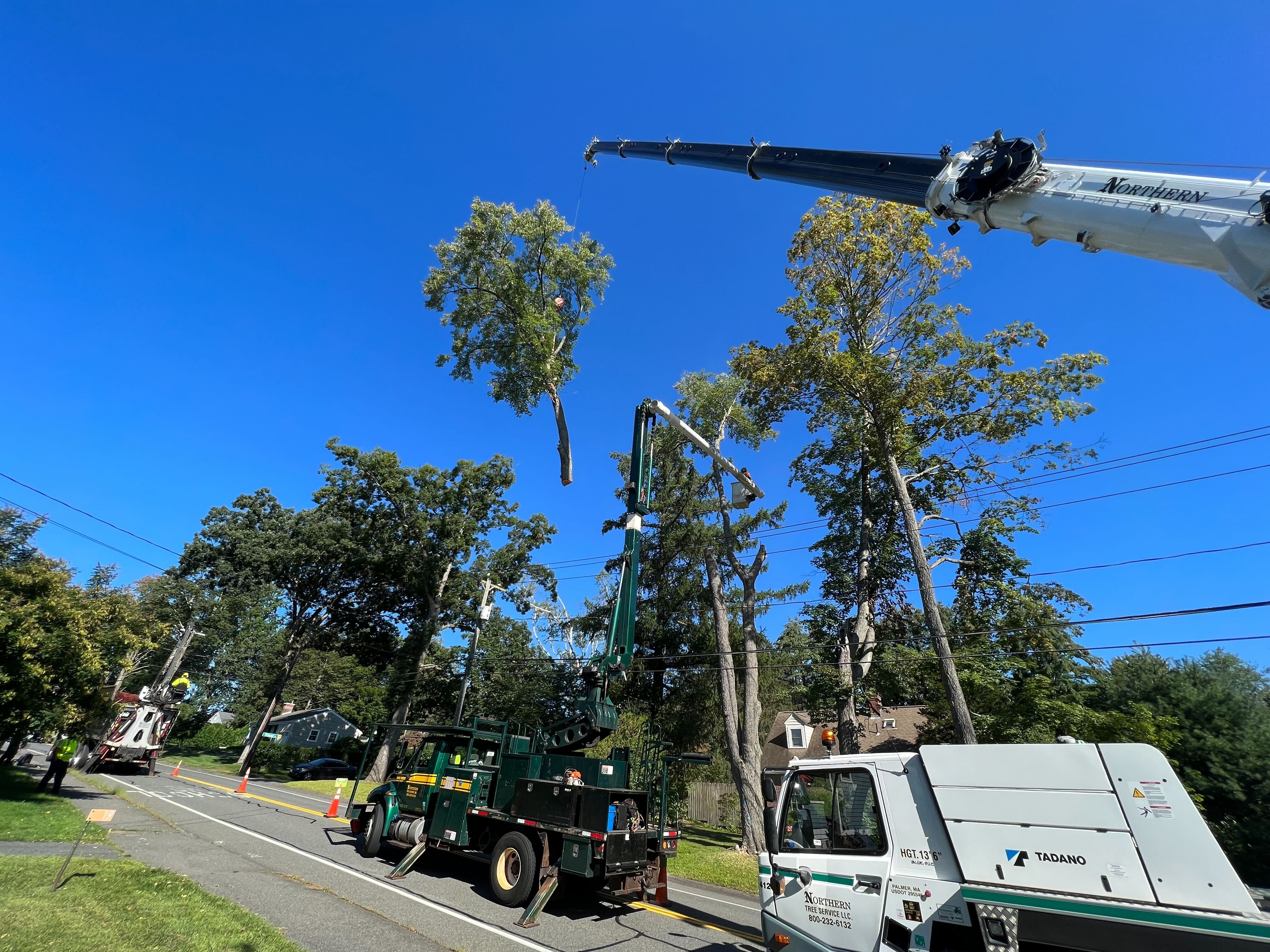 Eversource uses a crane to remove hazard trees in Amherst near Wildwood Elementary School.