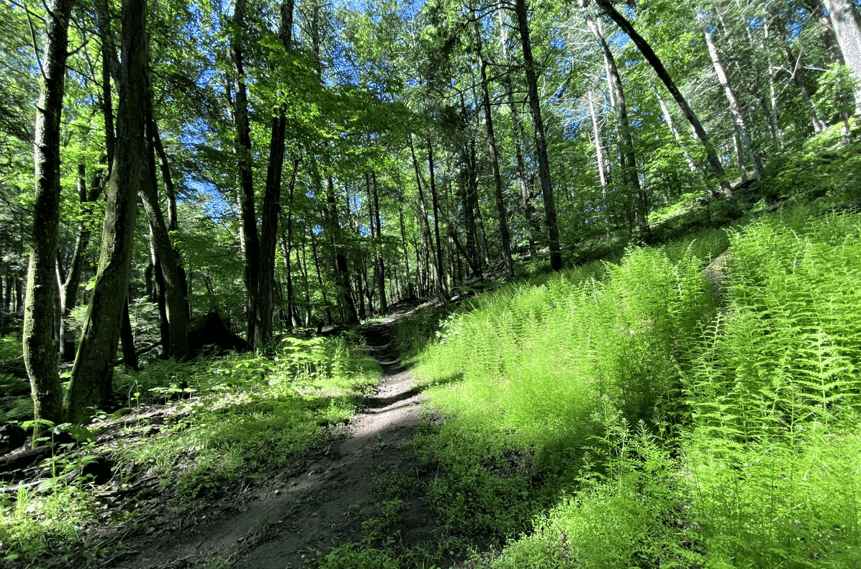 bridgewater trail - Bridgewater Land Trust_