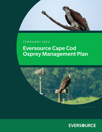 eversource-cape-cod-osprey-management-plan-cover