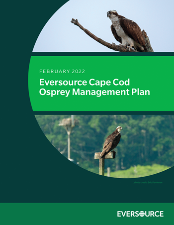 eversource-cape-cod-osprey-management-plan-cover eversource-cape-cod-osprey-management-plan-cover