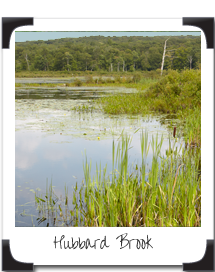 Hubbard Brook