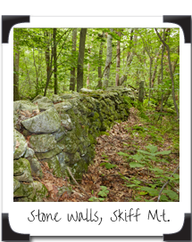 Stone Walls, Skiff Mountain