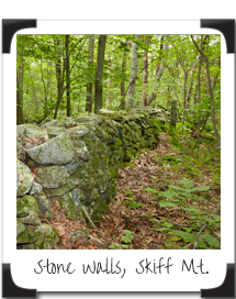 stone-walls Stone Walls, Skiff Mountain