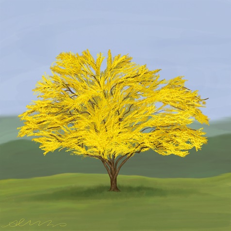 corneliancherry-dogwood corneliancherry-dogwood