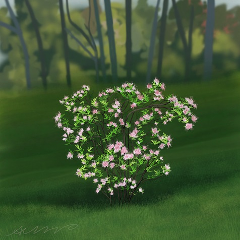 pinxterbloom-azalea pinxterbloom-azalea