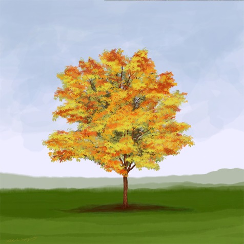 three-flower-maple three-flower-maple