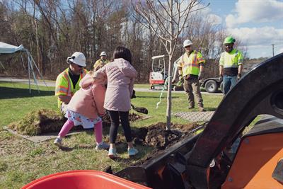 Tree_planting_DVS