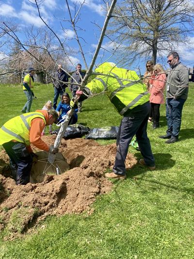 Tree_Planting_New_Britain