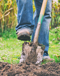 shovel-digging