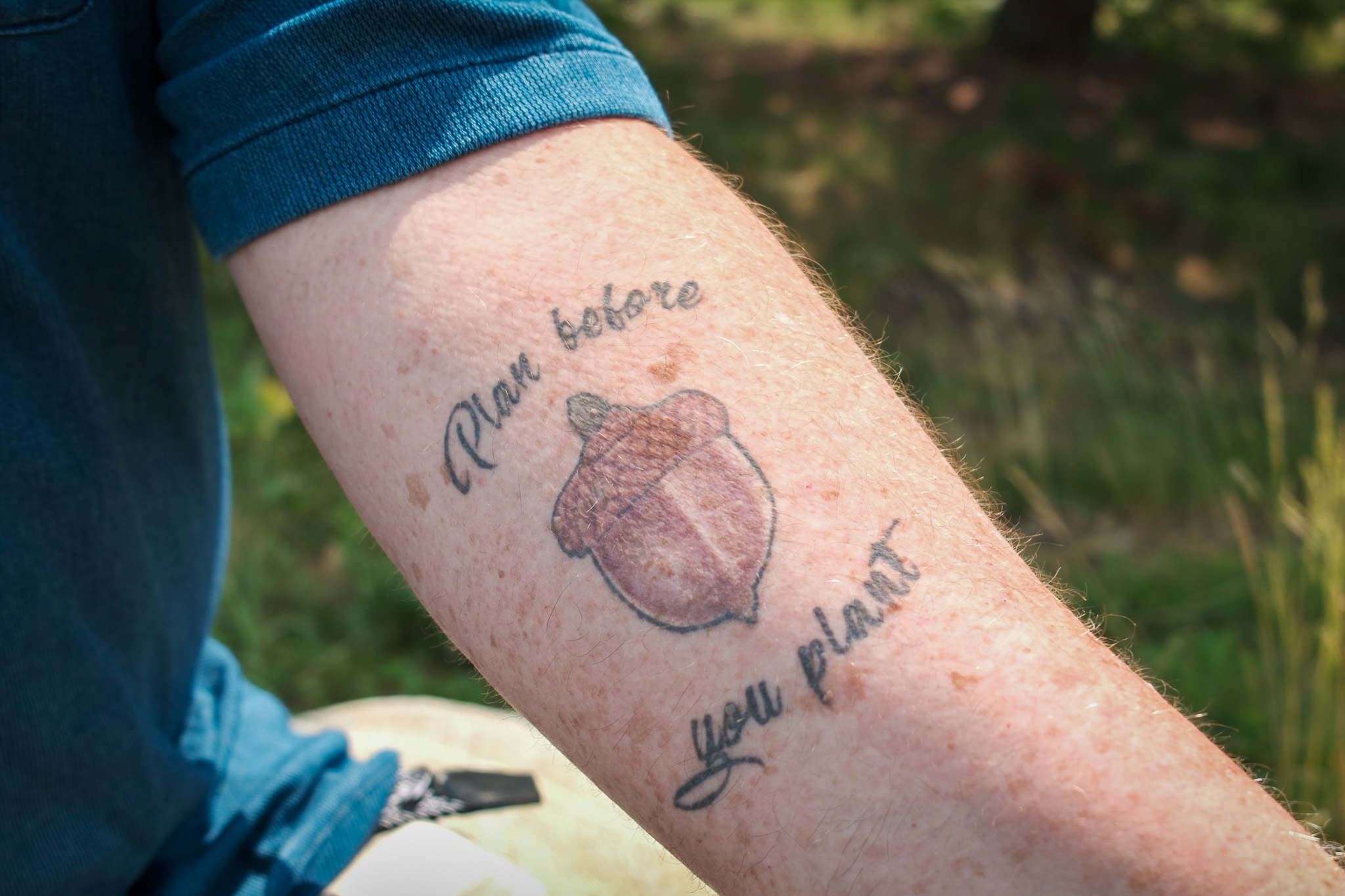 Bob's Plan Before You Plant Tattoo