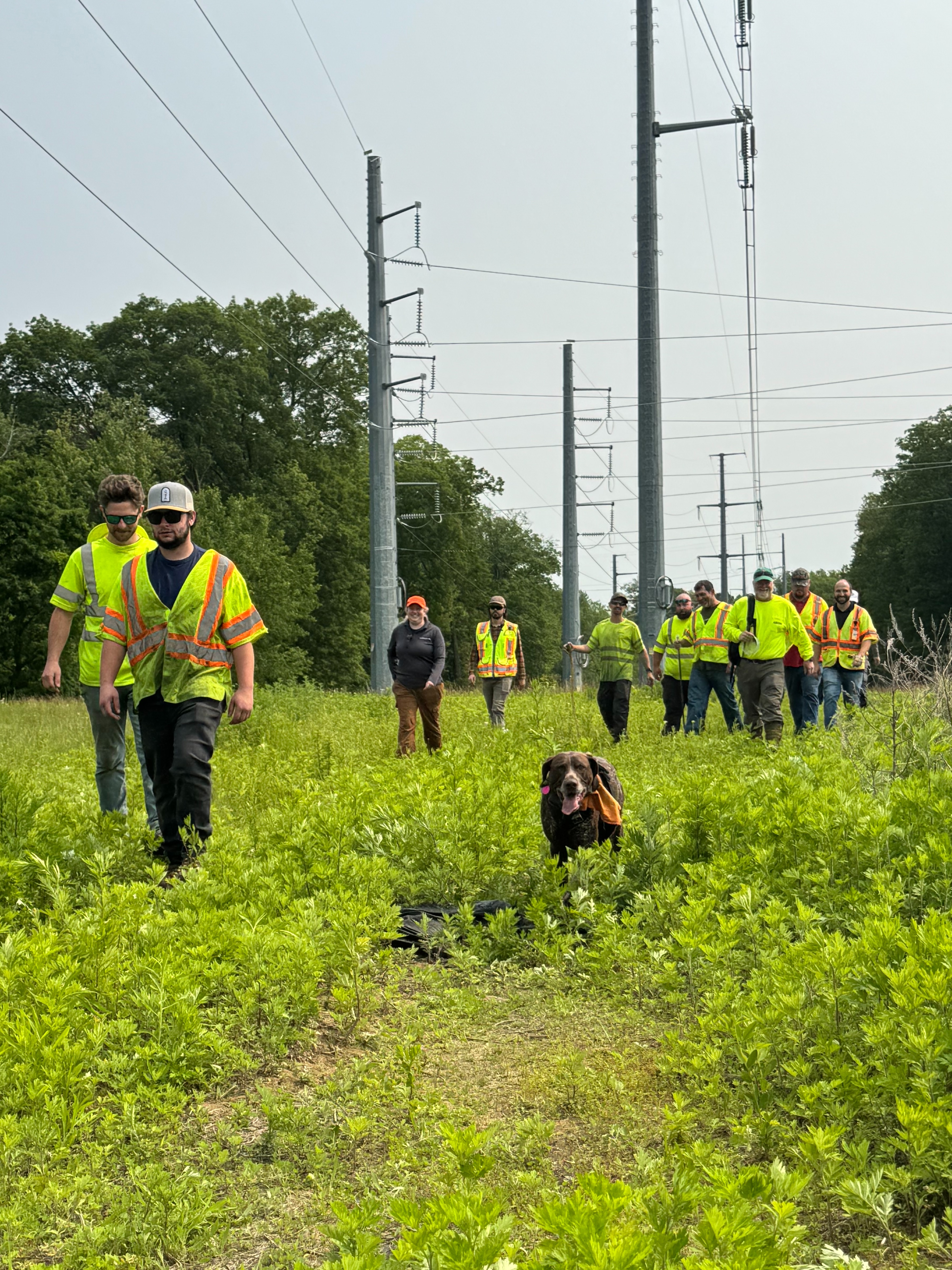 Team in Right-of-Way