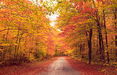 Independence Guideslines