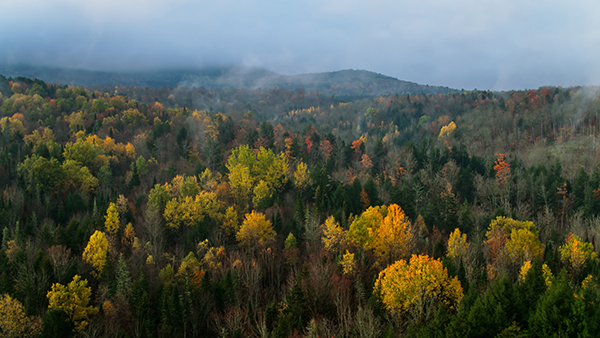 clean air sustainability