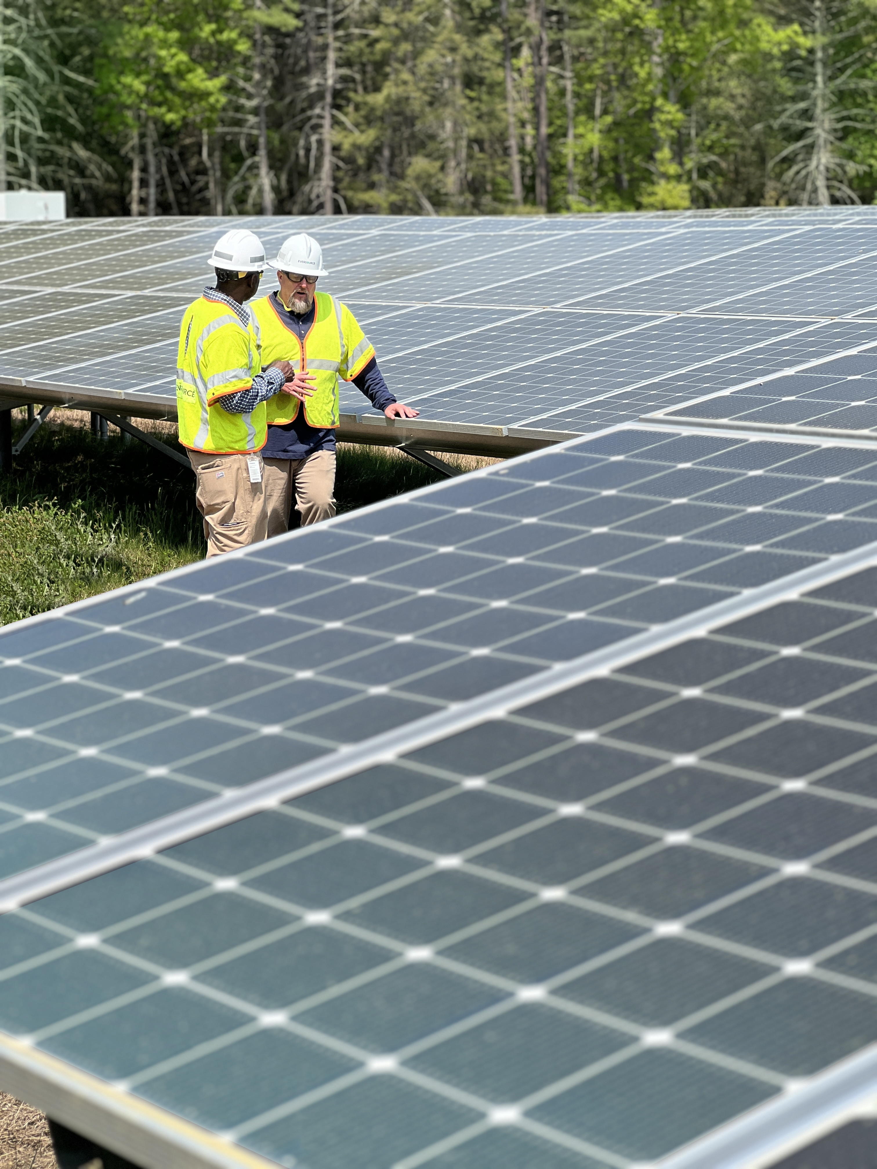 Employees talk surrounded by solar panels