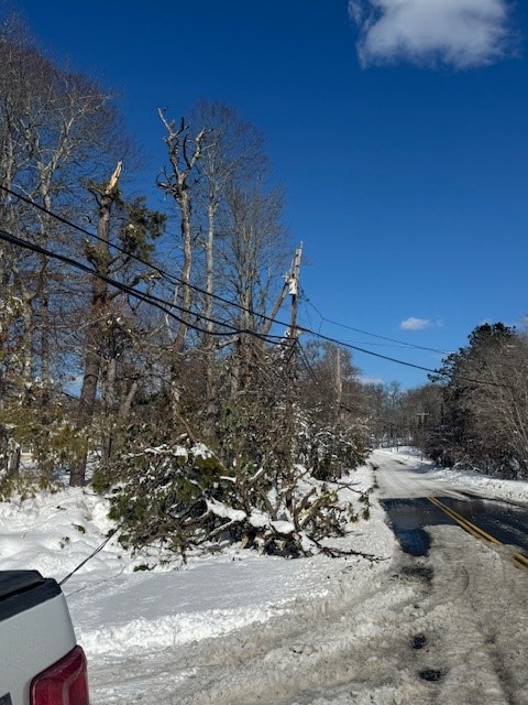 Tree damage to the electric distribution system in Falmouth.