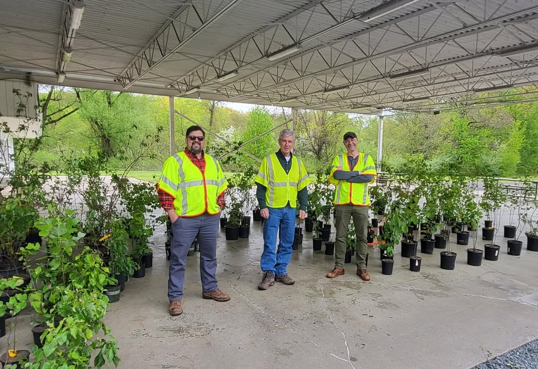 Eversource distributes trees at last year's event.