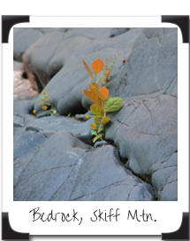 Bedrock on Skiff Mountain