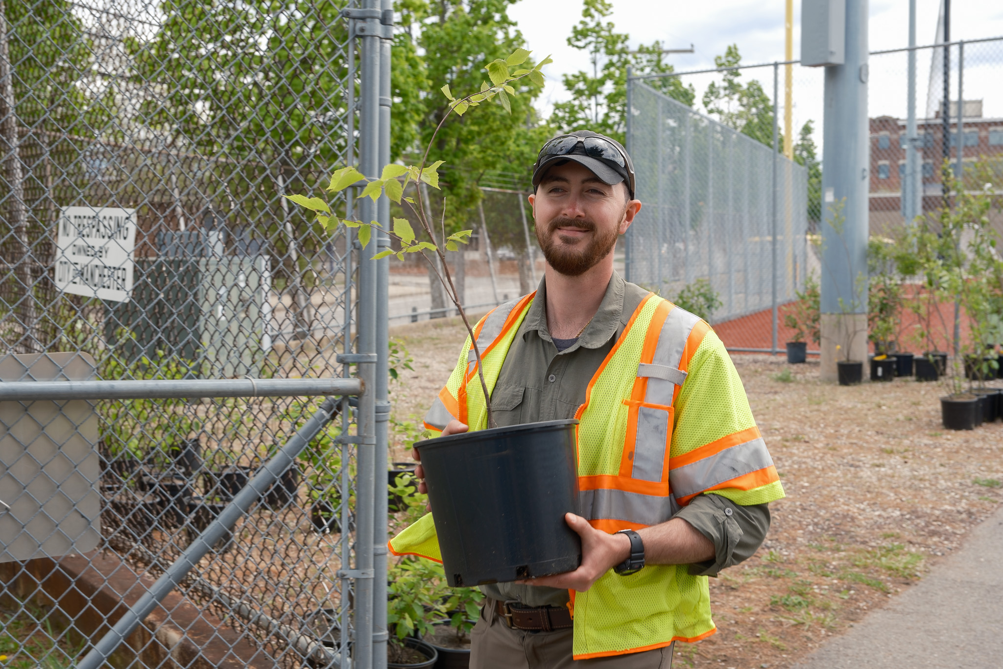 Tree Giveaway