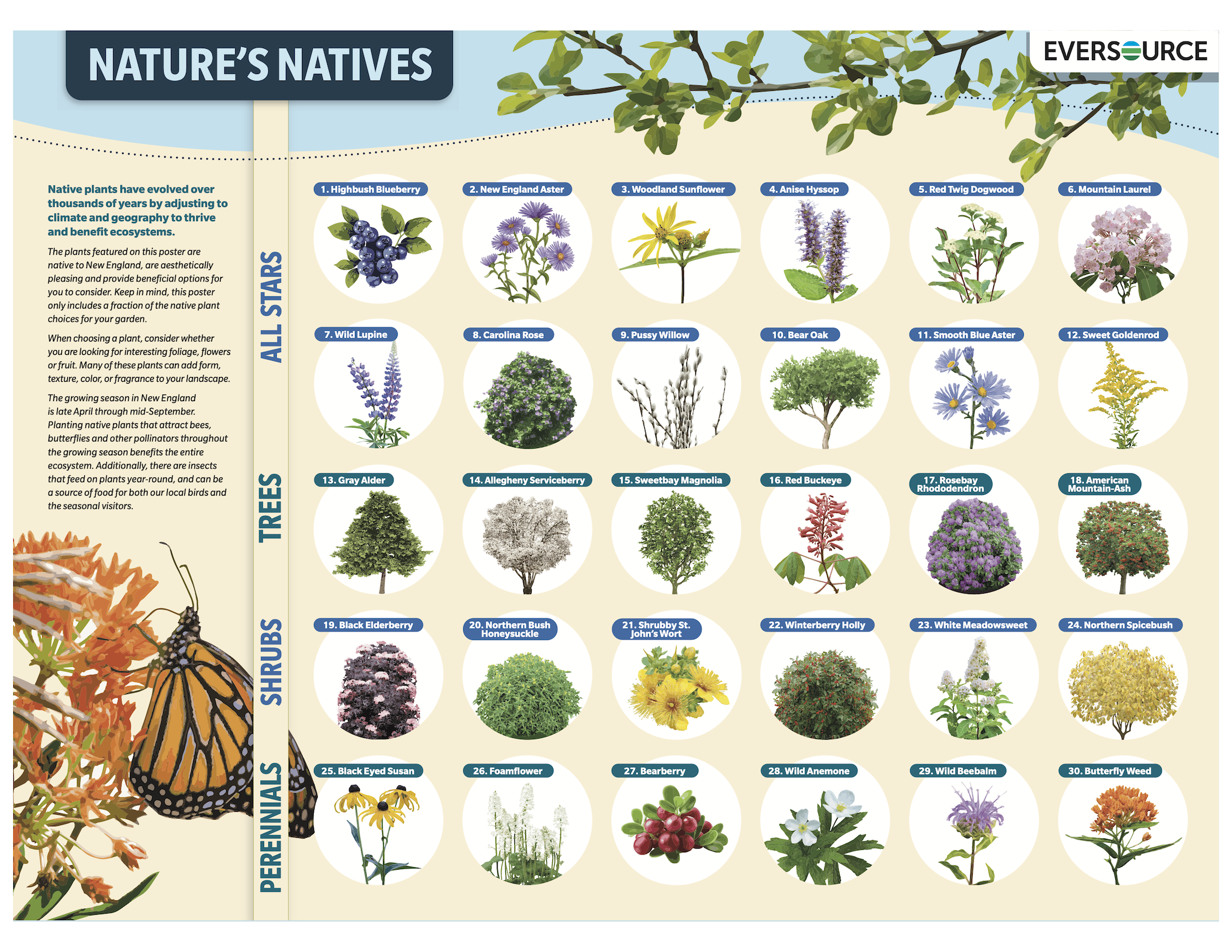 native plants