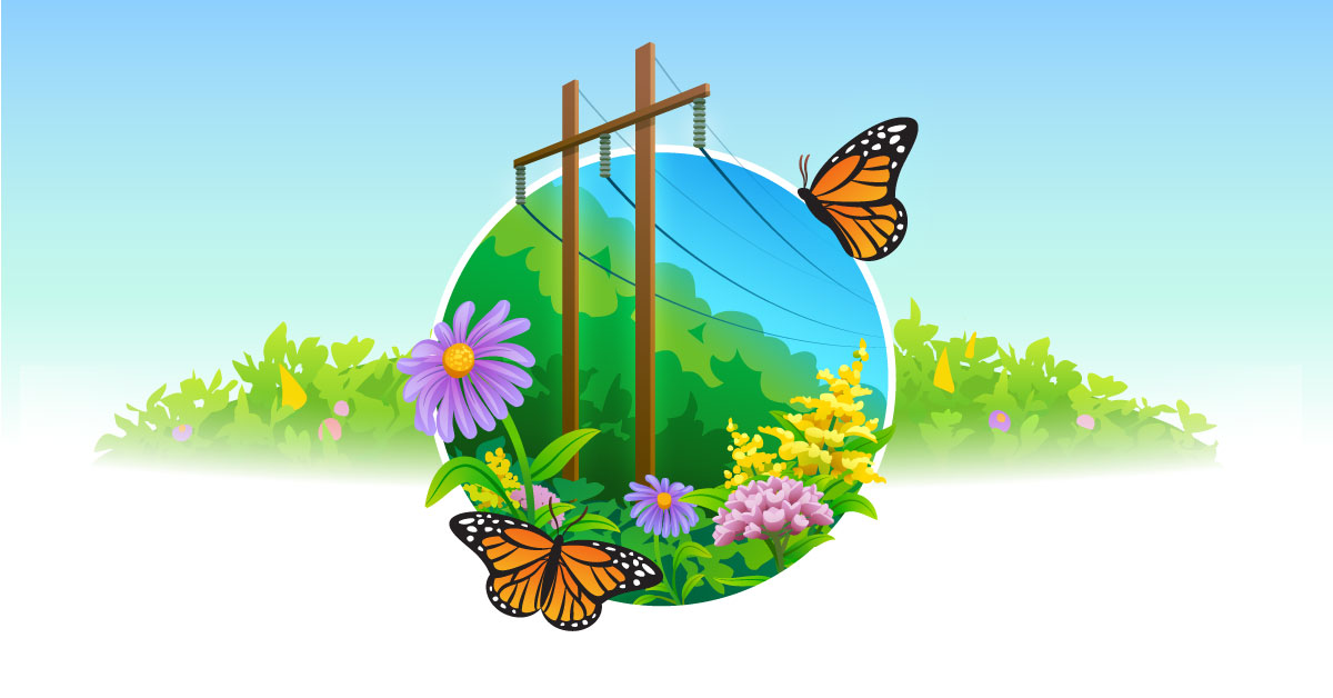 An illustration of flowers and butterflies next to a power line
