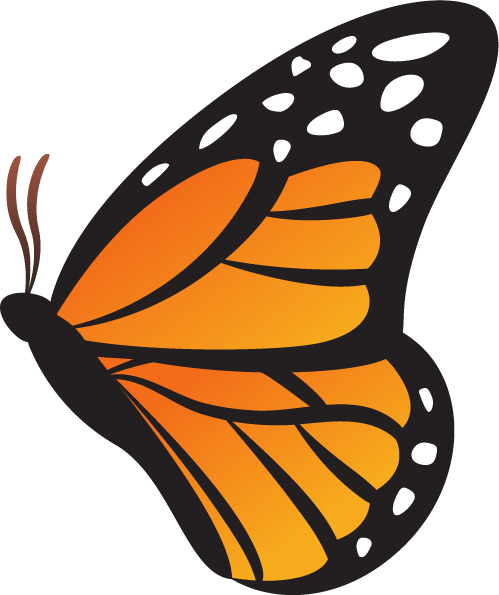 An illustration of a monarch butterfly